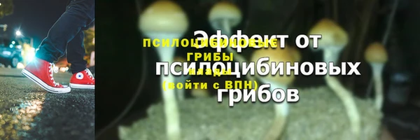 трава Баксан